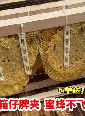 顶格巢脾夹过箱导础夹子野蜂过箱土养圆桶夹脾塑料夹绑脾条固定条