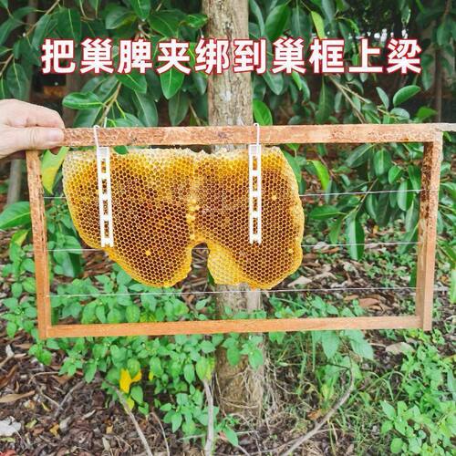 中蜂导础夹巢脾夹野蜂过箱全套养蜂工具多功能中意蜂巢加厚标准