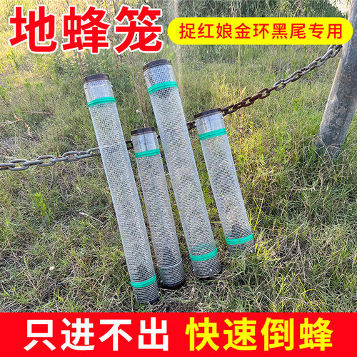 马蜂地蜂笼不锈钢收蜂笼只进不出捉胡蜂野外捉虎头蜂红娘金环黑尾