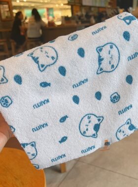 日本KAJITU厨房强力清洁油污抹布双层加厚洗碗布20抽可撕
