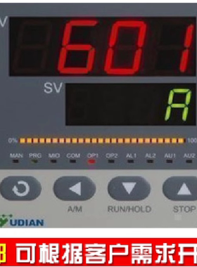厦门宇电 YUDIAN AI-6011交流电压测量仪交流电流表可调节智能PID