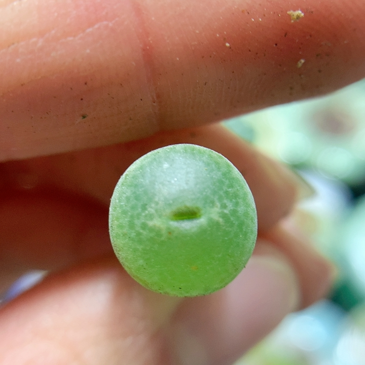 29-139 安格尼斯之眼