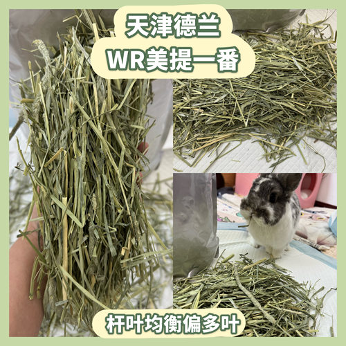 【自家试吃反馈】德兰 偏多叶WR美提一番 进口晒干提摩西草