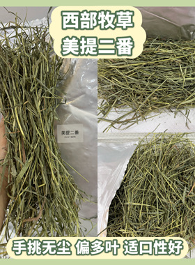 【自家试吃反馈】西部牧草 手挑无尘偏多叶美提二番 进口提摩西草