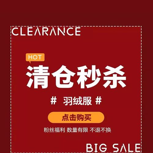 2025.11.26韩系新中式羽绒服特价清仓亏本福利 数量有限 卖完为止