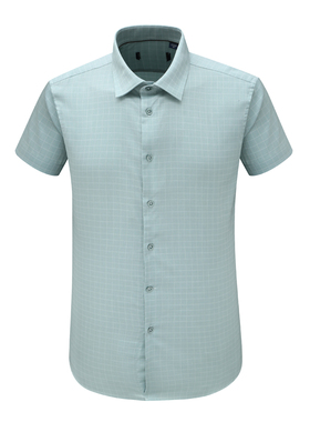 F3967鸟夏季男式短袖衬衫 莱赛尔百搭商务休闲上衣 浅绿色