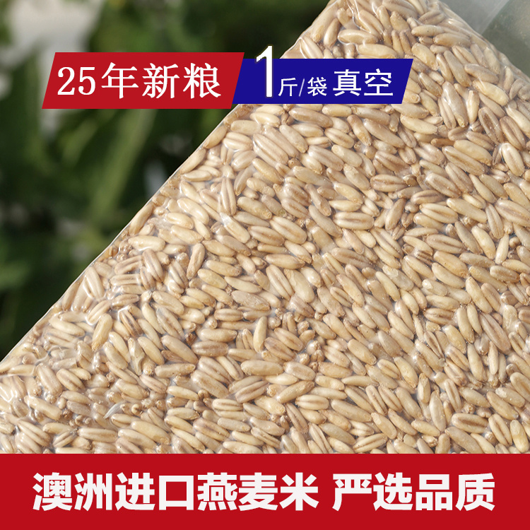 东北龚记鸟食 澳洲进口燕麦米雀麦去皮燕麦虎皮牡丹玄凤鹦鹉鸟食