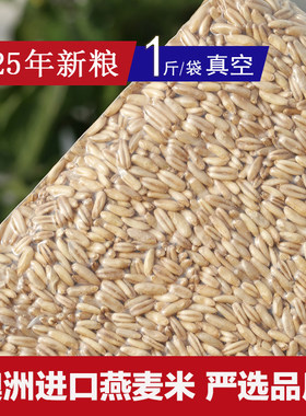 东北龚记鸟食 澳洲进口燕麦米雀麦去皮燕麦虎皮牡丹玄凤鹦鹉鸟食