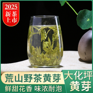 【2025年新茶】A5荒山野茶大化坪黄芽罐装茗赐缘霍山黄芽安徽黄茶