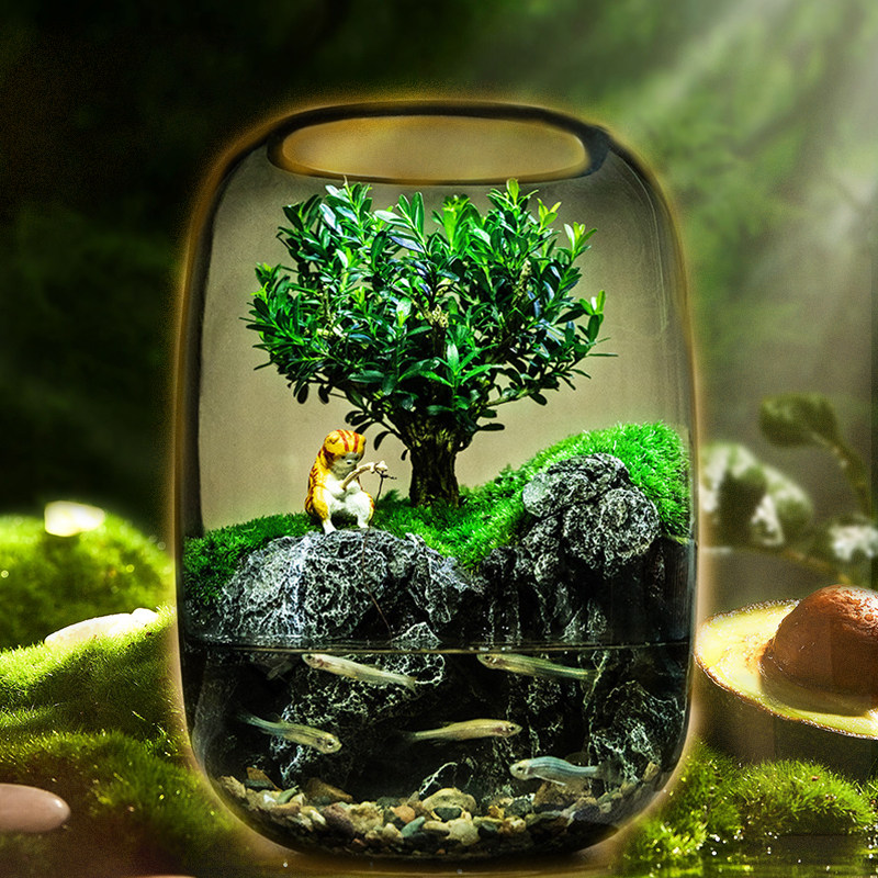 网红爆款[小猫钓鱼]苔藓微景观玻璃瓶创意盆栽生态缸鱼缸桌面摆件