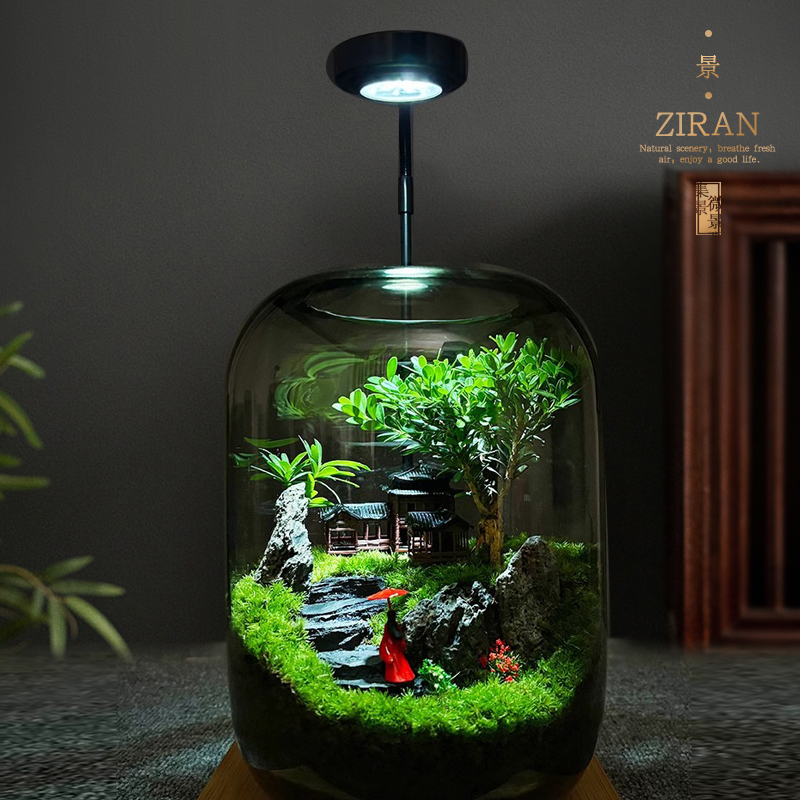 创意节日生日礼物礼品