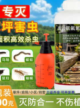 草坪地下害虫专用药高效氯氟氰除马陆蜈蚣鼠妇蚰蜒非无毒杀虫剂