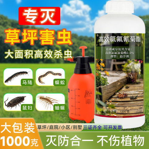 大面积潮虫蟑螂药驱除喷雾剂马陆