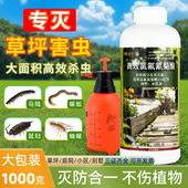 草坪地下害虫专用药高效氯氟氰除马陆蜈蚣鼠妇蚰蜒非无毒杀虫剂
