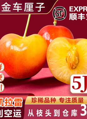 智利斯凯拉雷黄金车厘子Skylar Rae礼盒4j顺丰樱桃孕妇5j天空之城