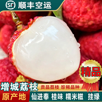 广州增城荔枝糯米仙进糍奉新鲜桂王味现摘现发观音妃子绿笑挂礼盒