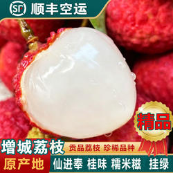 广州增城荔枝糯米仙进糍奉新鲜桂王味现摘现发观音妃子绿笑挂礼盒