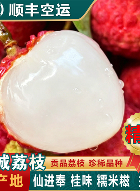 广州增城荔枝糯米仙进糍奉新鲜桂王味现摘现发观音妃子绿笑挂礼盒