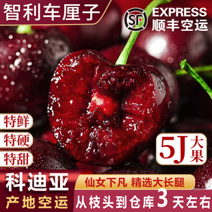 5j智利车厘子进口科迪亚新鲜水果大黑樱桃桑礼盒提娜原箱4j空运6j