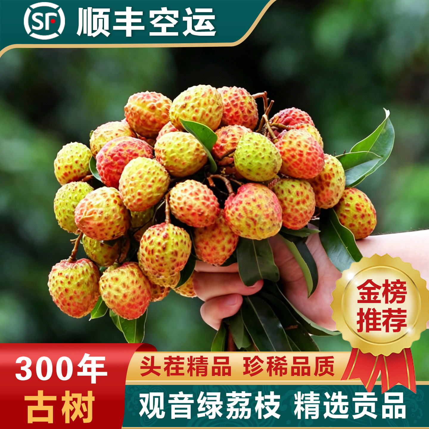 广东茂名糯米糍荔枝新鲜现摘观音仙进挂奉绿桂当季味妃子5笑顺丰
