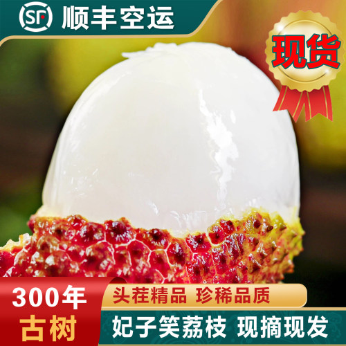 妃子笑荔枝顺丰空运现摘现发