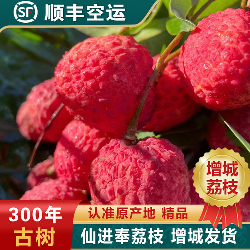仙进奉荔枝礼盒5斤现摘