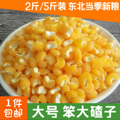 新粮大粒玉米碴子 东北大号笨大碴子 包邮 粗粮煮大碴粥笨苞米碴子