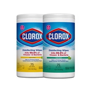 高乐氏CLOROX季铵盐多用消毒杀菌湿巾厨房家居用去油污无酒精75张