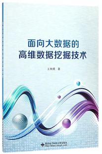 高维数据挖掘技术 面向大数据