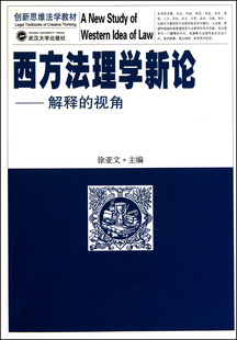 解释 西方法理学新论 视角 创新思维法学教材