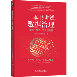 数字化 社 战略 平装 用友平台与数据智能团队 工具与实践 一本书讲透数据治理 方法 机械工业出版 正版 全球数据资产理事会推荐 包邮