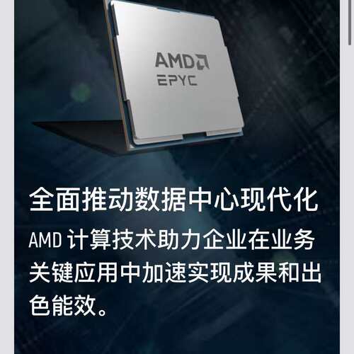 MD EPYC 9754 9654 9554 9654es 9J14 9B14 9V84正式版--议价商品