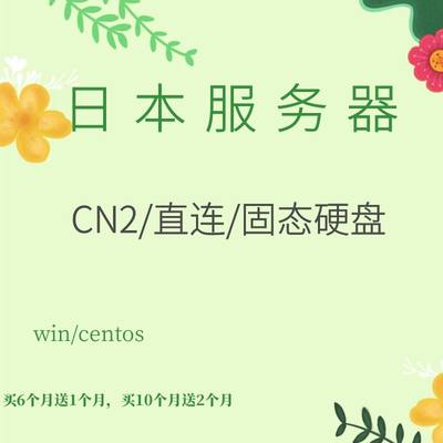 日本服务器远程电脑香港虚拟云主机游戏建站云服务器CN2远程桌面