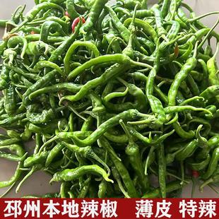 徐州新沂邳州土特产本地尖辣椒新鲜朝天椒小尖椒青椒小米椒