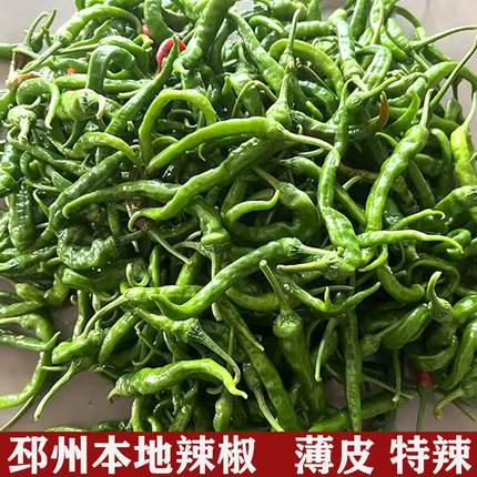 徐州新沂邳州土特产本地尖辣椒新鲜朝天椒小尖椒青椒小米椒