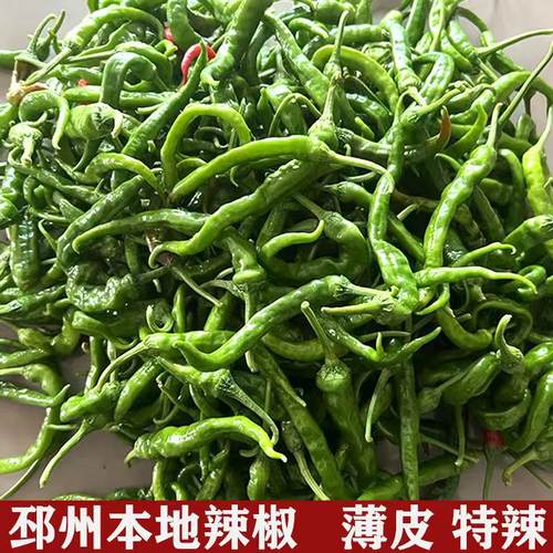 徐州新沂邳州土特产小尖椒尖辣椒