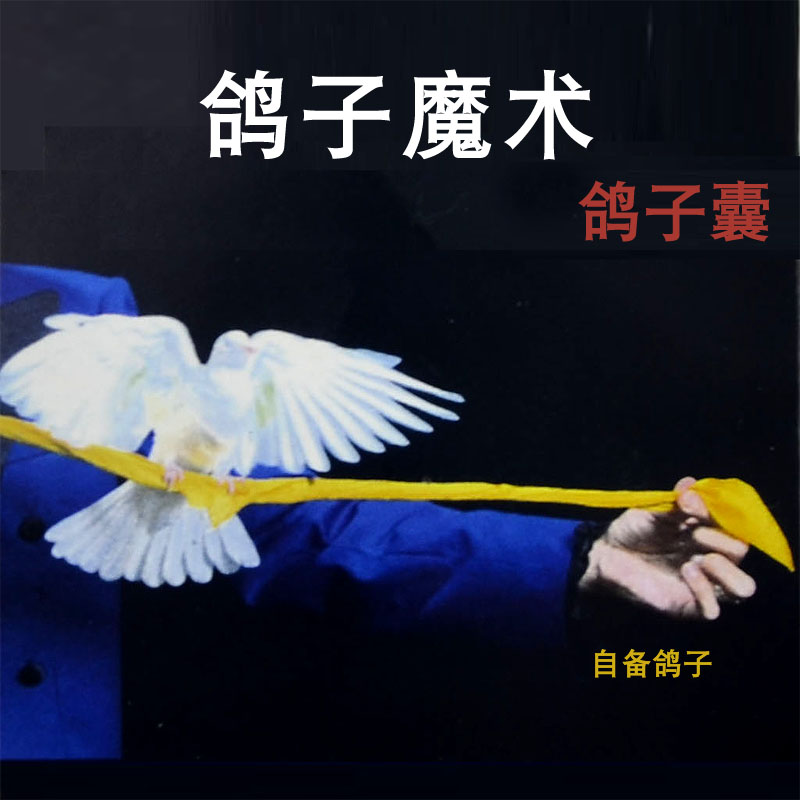 kingmagic舞台魔术动手动脑