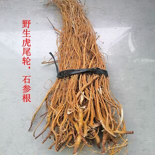 福建野生虎尾轮客家石参根土特产500g包邮农家炖汤草药无添加药材