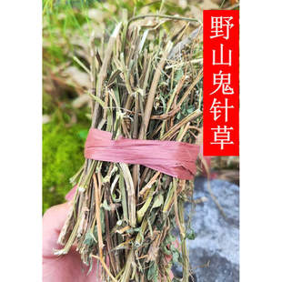 野生鬼针草一包针盲肠草三叶鬼针草茶农家自晒干品整棵新货