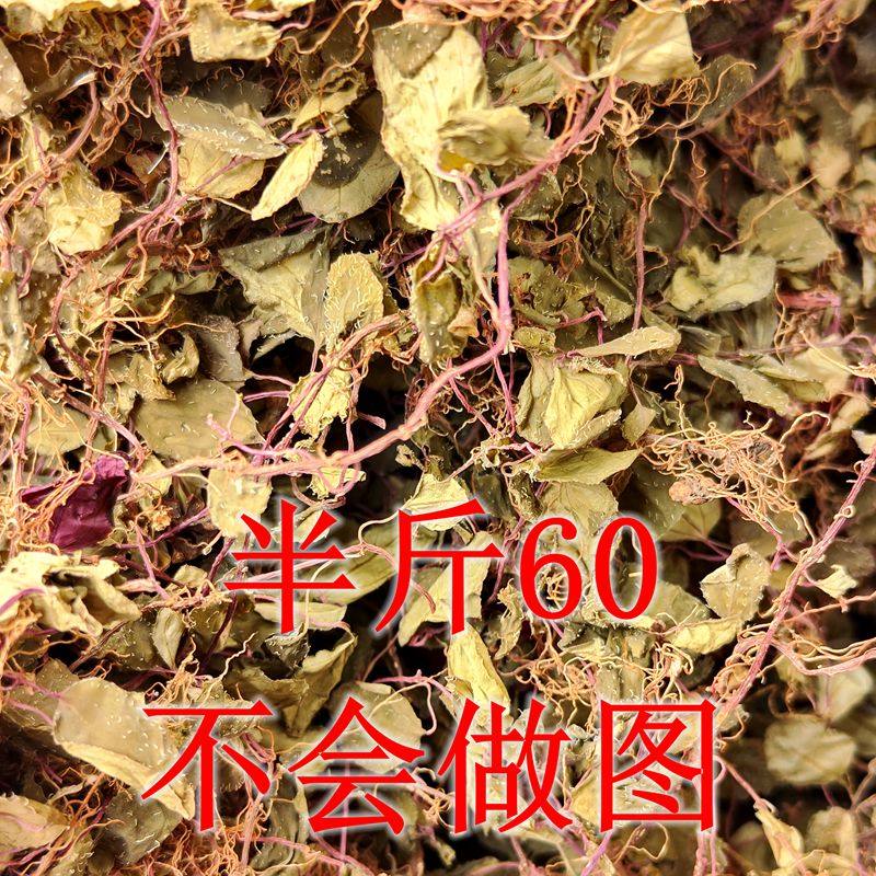 新货正宗福建本地野生风柜斗草5年苗 大叶风鼓草 非种植嫩苗