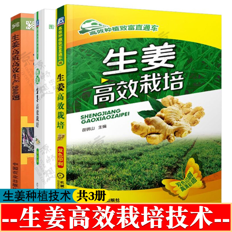 生姜种植技术 图说生姜高效栽培+生姜高效栽培+生姜高质高效生产200题 生姜栽培技术 生姜病虫草害诊断与防治技术 生姜种植书籍