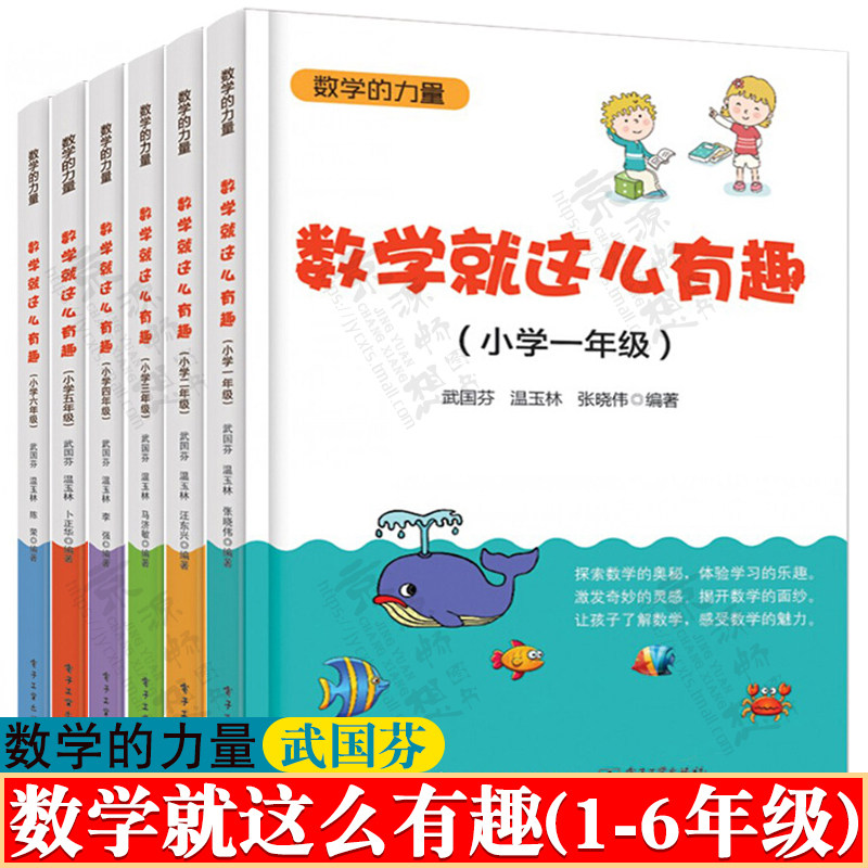 数学就这么有趣 小学一二三四五六年级 武国芬 数学的力量 小学数学解题能力与创新数学概念数学原理 小学数学思维拓展课外读物