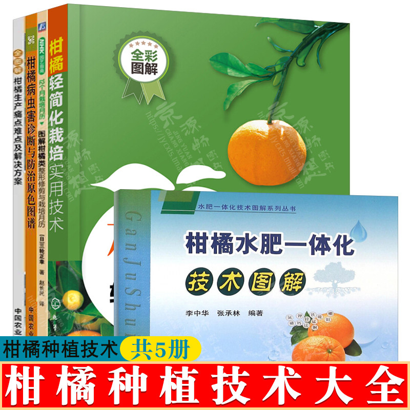 柑橘种植技术 柑橘栽培技术+整形修剪+病虫害诊断与防治原色图谱+生产痛点难点及解决方案+柑橘水肥一体化技术图册 柑橘种植书籍