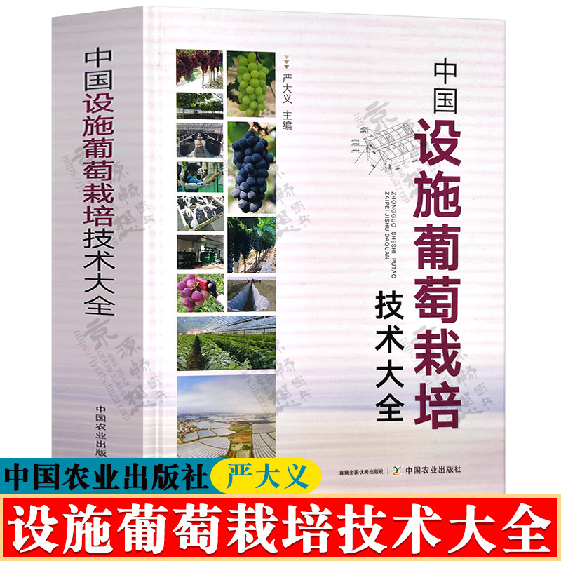 中国设施葡萄栽培技术大全 严大义 设施葡萄建园技术 修枝剪形 花果管理 水肥管理 灾害防控 设施葡萄栽培技术大全书籍