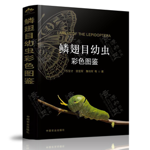 鳞翅目幼虫彩色图鉴 石宝才 宫亚军 中国农业出版社 农林害虫防治 蛾蝶类昆虫 鳞翅目昆虫识别鉴定 鳞翅目昆虫彩色图鉴