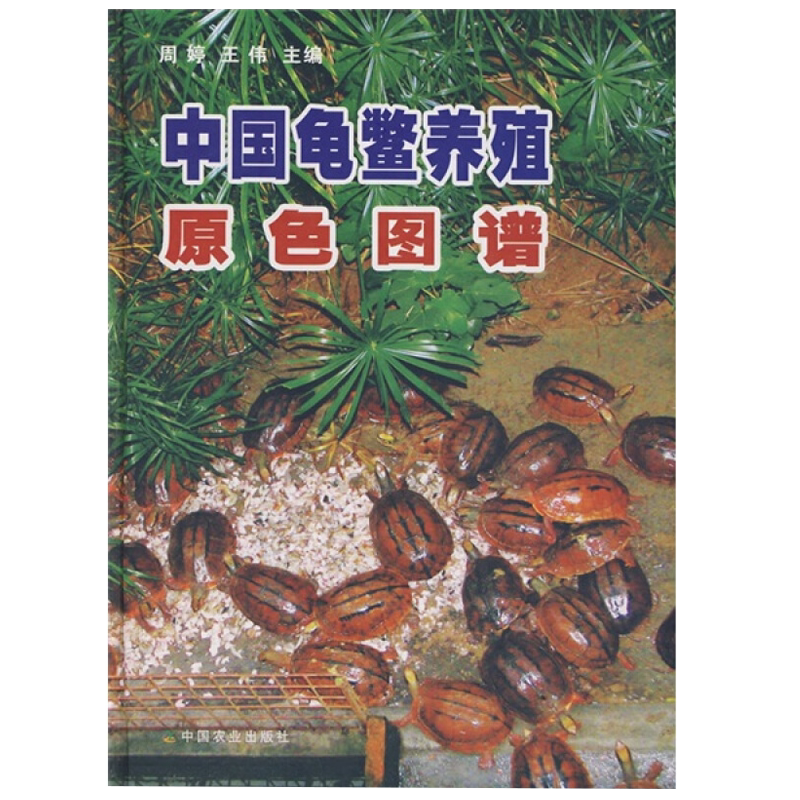 中国龟鳖养殖原色图谱周婷著作