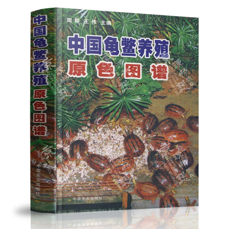 中国龟鳖养殖原色图谱 周婷 中国农业出版社 龟鳖动物生活习性养殖技术 乌龟甲鱼水产养殖书 养龟书籍