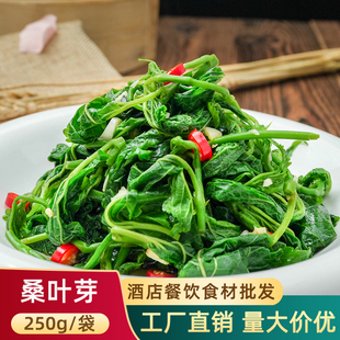 桑叶新鲜桑叶苗桑叶芽上汤桑叶菜新鲜食用嫩桑叶尖半成品特色冷冻