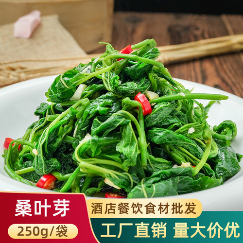 新鲜桑叶苗桑叶芽半成品特色菜