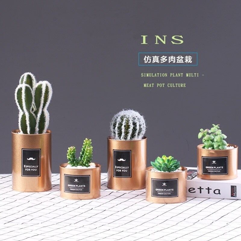 ins北欧风仿真多肉绿植物金属罐小盆栽景假仙人柱掌桌面装饰摆件